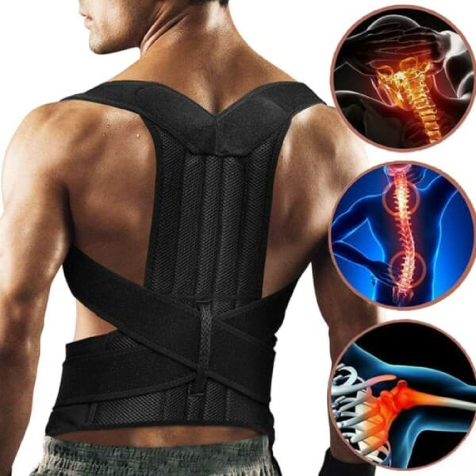 Back posture corrector